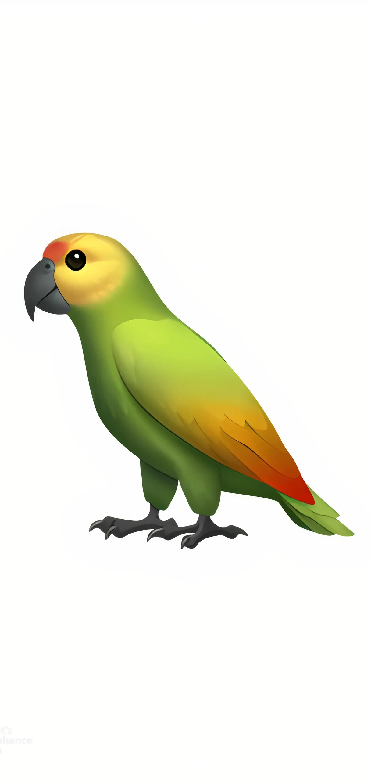 Parrot Content
